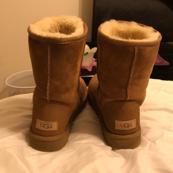 Chestnut uggs - Picture 4 of 4